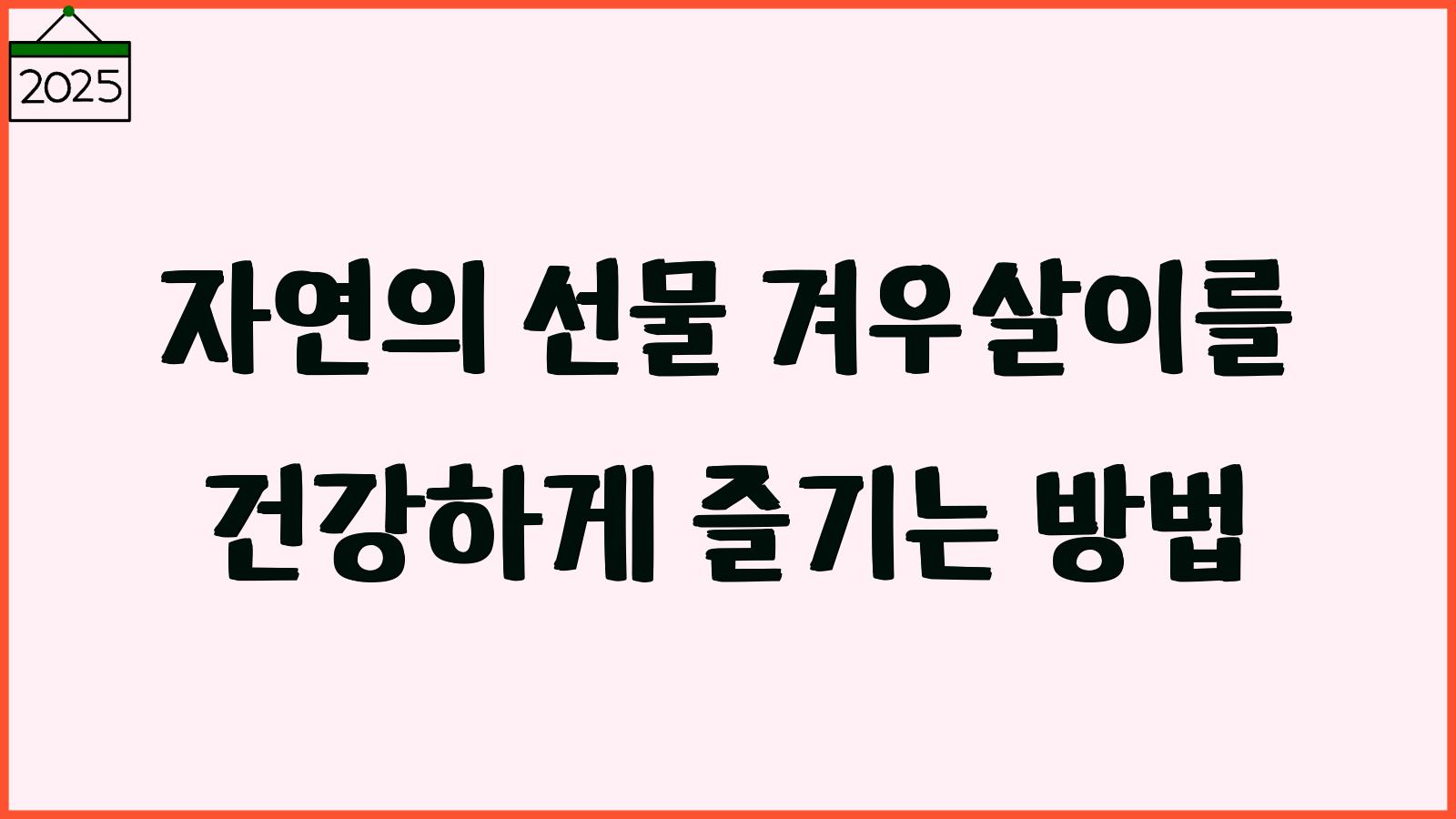 겨우살이 먹는법