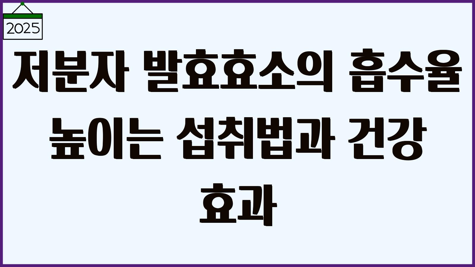 저분자 발효효소