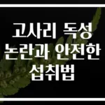 고사리 독성 논란과 안전한 섭취법