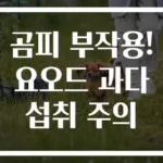 곰피 부작용! 요오드 과다 섭취 주의