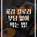 곶감 칼로리 부담 없이 먹는 법!