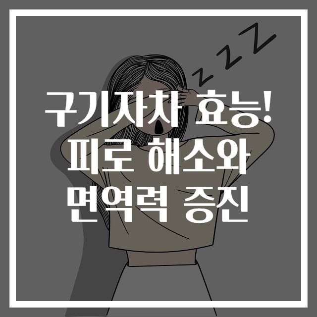 구기자차 효능! 피로 해소와 면역력 증진