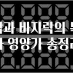 꼬막과 바지락의 특징과 영양가 총정리