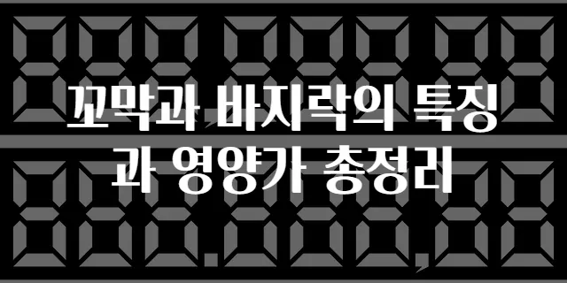 꼬막과 바지락의 특징과 영양가 총정리