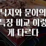 낙지와 문어의 특징 비교 이렇게 다르다