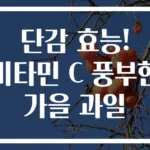 단감 효능! 비타민 C 풍부한 가을 과일