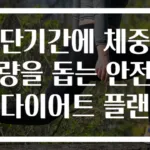 단기간에 체중 감량을 돕는 안전한 다이어트 플랜