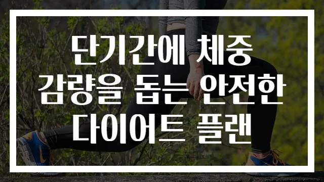 단기간에 체중 감량을 돕는 안전한 다이어트 플랜