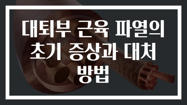 대퇴부 근육 파열의 초기 증상과 대처 방법