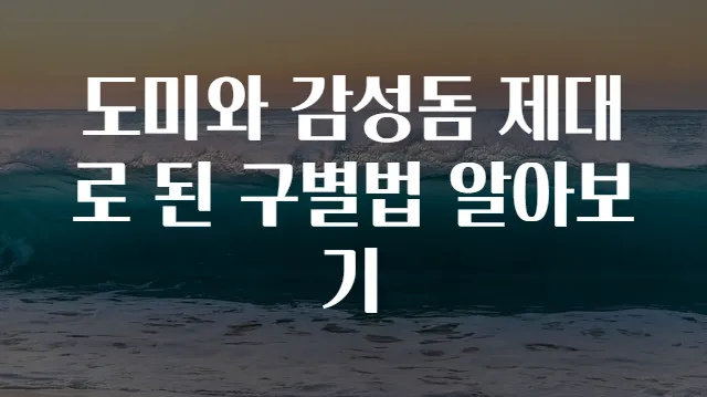 도미와 감성돔 제대로 된 구별법 알아보기