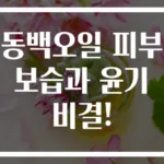 동백오일 피부 보습과 윤기 비결!