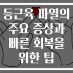 등근육 파열의 주요 증상과 빠른 회복을 위한 팁