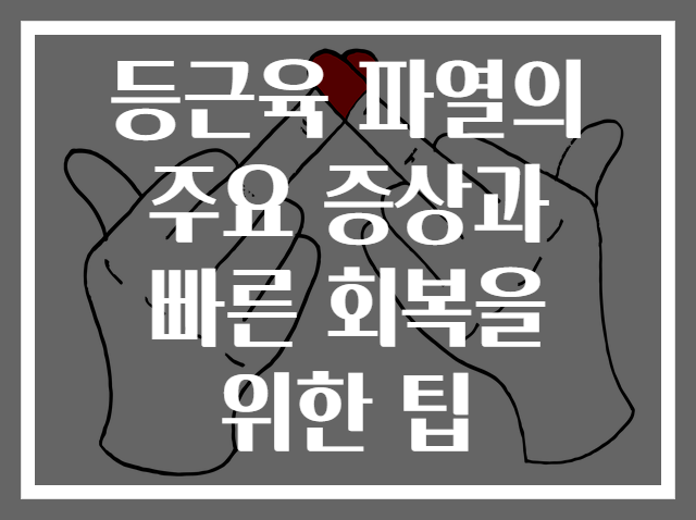 등근육 파열의 주요 증상과 빠른 회복을 위한 팁