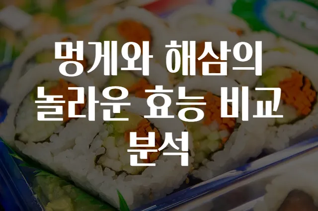 멍게와 해삼의 놀라운 효능 비교분석