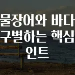 민물장어와 바다장어 구별하는 핵심 포인트