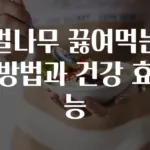 벌나무 끓여먹는 방법과 건강 효능