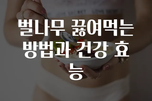 벌나무 끓여먹는 방법과 건강 효능