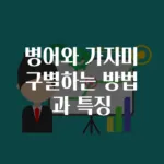병어와 가자미 구별하는 방법과 특징