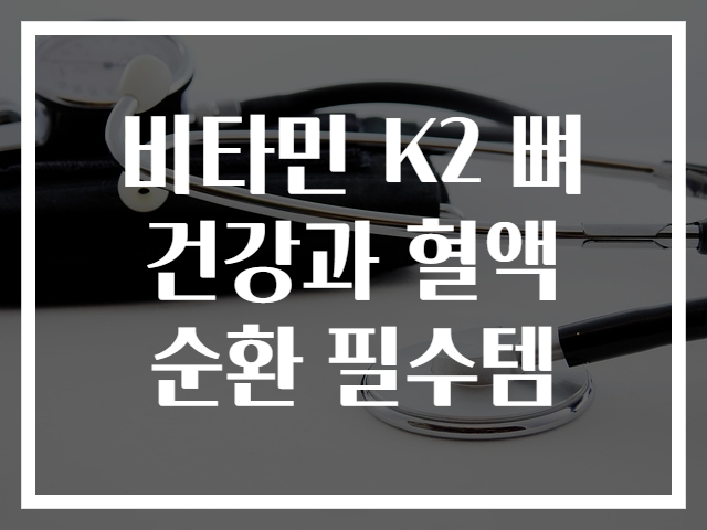 비타민 K2 뼈 건강과 혈액 순환 필수템