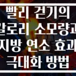 빨리 걷기의 칼로리 소모량과 지방 연소 효과 극대화 방법