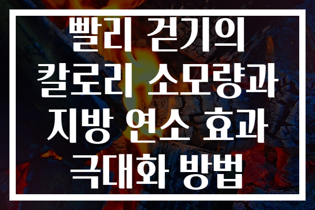 빨리 걷기의 칼로리 소모량과 지방 연소 효과 극대화 방법