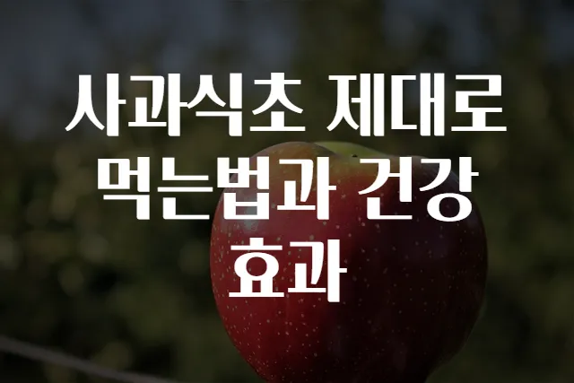 사과식초 제대로 먹는법과 건강 효과