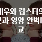 새우와 랍스터의 맛과 영양 완벽비교