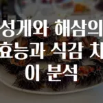 성게와 해삼의 효능과 식감 차이 분석