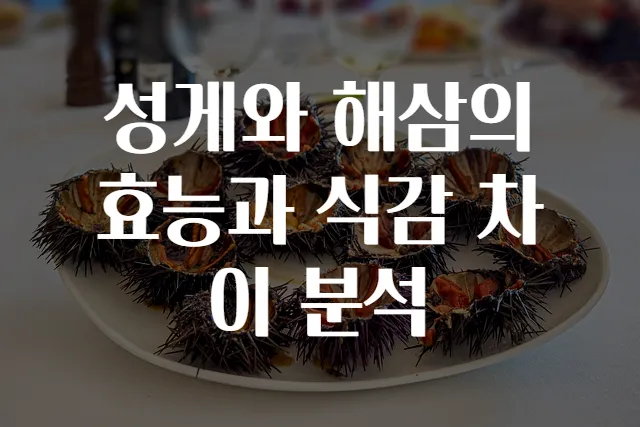 성게와 해삼의 효능과 식감 차이 분석