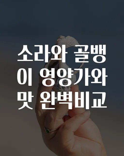 소라와 골뱅이 영양가와 맛 완벽비교