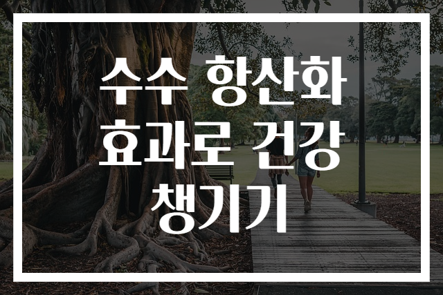 수수 항산화 효과로 건강 챙기기