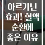 아르기닌 효과! 혈액 순환에 좋은 이유