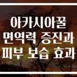 아카시아꿀 면역력 증진과 피부 보습 효과