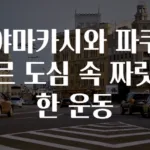 야마카시와 파쿠르 도심 속 짜릿한 운동