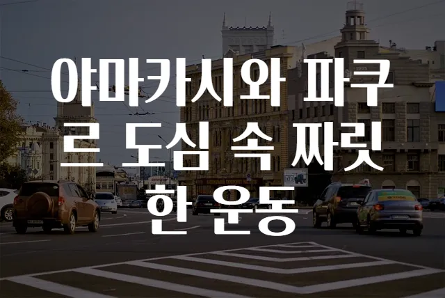 야마카시와 파쿠르 도심 속 짜릿한 운동