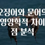 오징어와 문어의 영양학적 차이점 분석