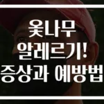 옻나무 알레르기! 증상과 예방법