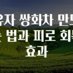 유자 쌍화차 만드는 법과 피로 회복 효과