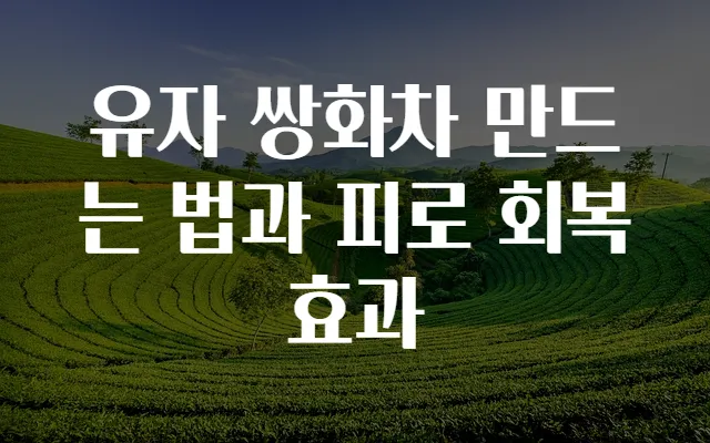 유자 쌍화차 만드는 법과 피로 회복 효과