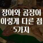 장어와 곰장어 이렇게 다른 점 5가지