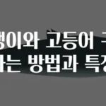 전갱이와 고등어 구별하는 방법과 특징