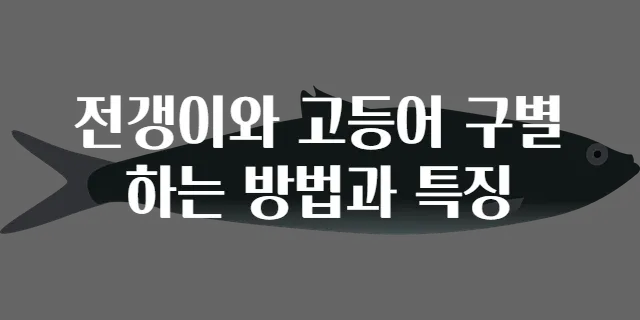 전갱이와 고등어 구별하는 방법과 특징