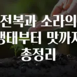 전복과 소라의 생태부터 맛까지 총정리
