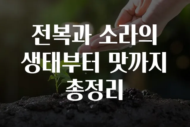 전복과 소라의 생태부터 맛까지 총정리
