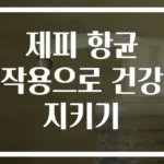 제피 항균 작용으로 건강 지키기