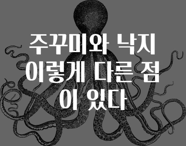 주꾸미와 낙지 이렇게 다른 점이 있다