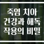 죽염 치아 건강과 해독 작용의 비밀