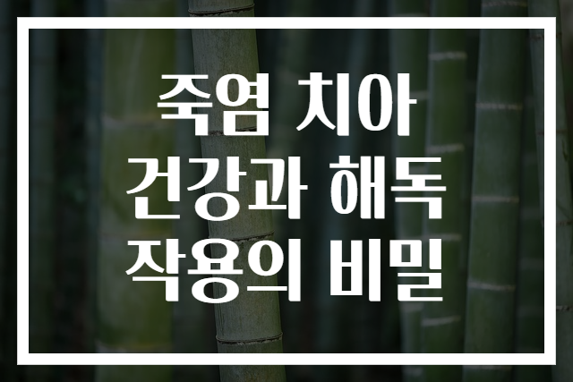 죽염 치아 건강과 해독 작용의 비밀