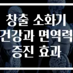 창출 소화기 건강과 면역력 증진 효과