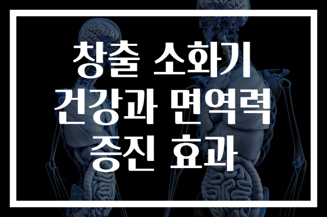 창출 소화기 건강과 면역력 증진 효과